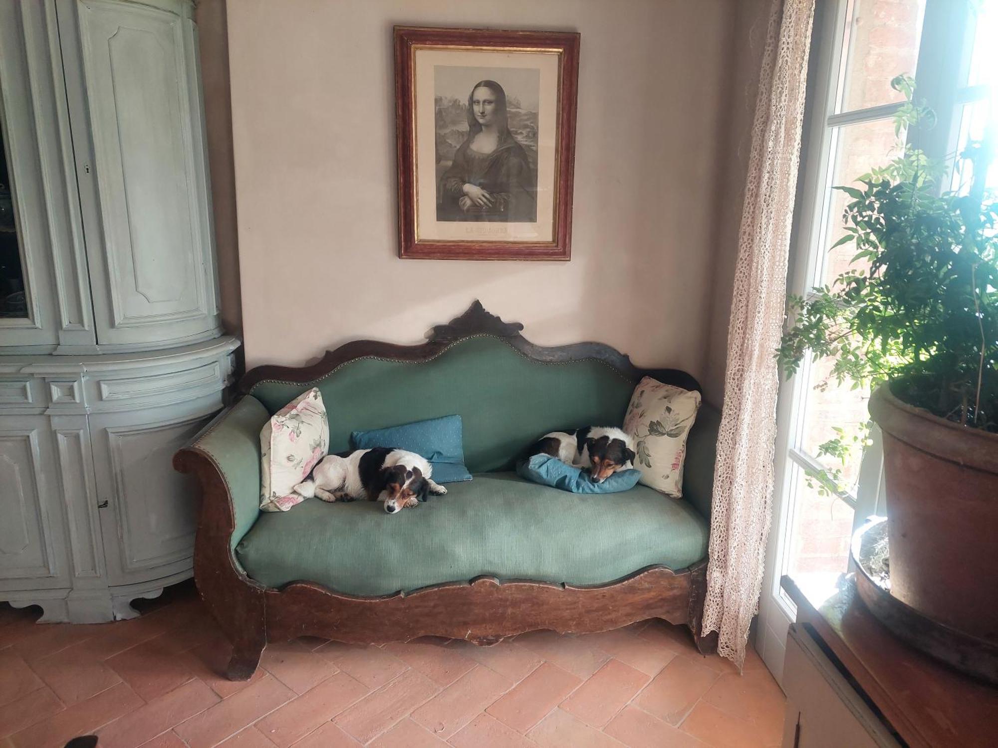 Casa Ezio Marchi - Due Appartamenti E Una Family Suite ベットッレ エクステリア 写真